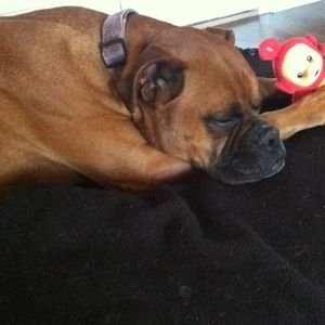 Meet your Posher, Kayla